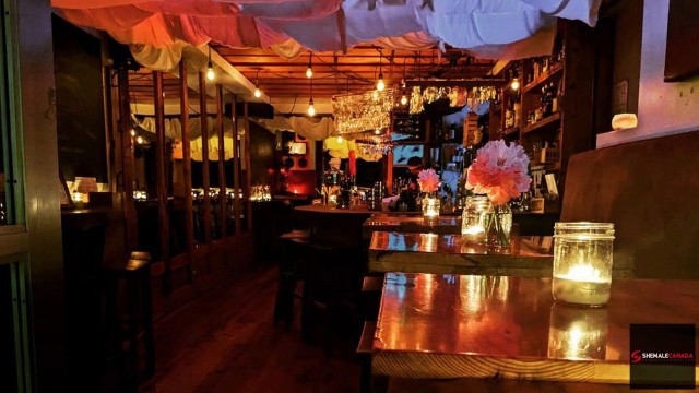 Ottawa_s Top 3 Romantic Coffee Spots Perfect For You and Your Trans Companion