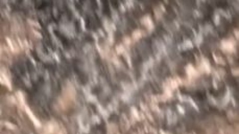 SUCKING DICK TALKING ON THE PHONE | FULL VIDEO - sexonly.top/chzmvq