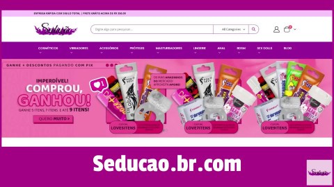 A Ascensão da Procura por Adult Toys no Brasil_ 2 Razões-Chave