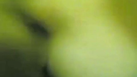 Eac Scandal Lana Rhoades