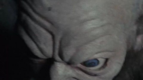 macey jade Kailynbaby xorachel - sluts.su/potgjv