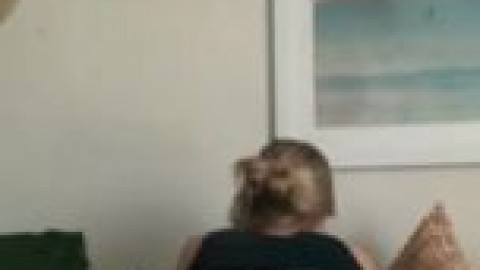 petite roommate rides hard pornhub