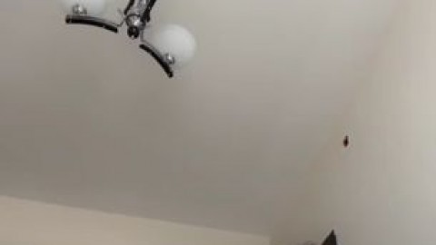 i'll jump your cock the porndude