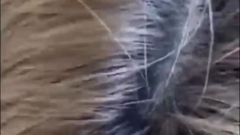 Liv Cox Fetishqueen2021 Yoshinobi