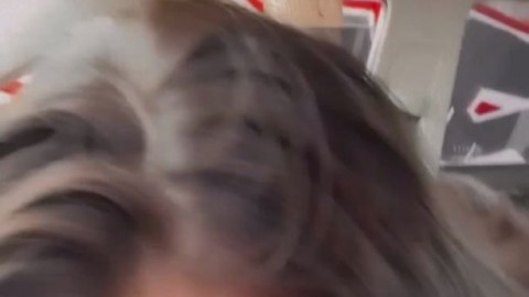 Ass_Porn_GIF_1005_lustful.su