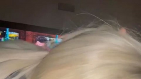 Amateur_Porn_GIF_6692_sexonly.top