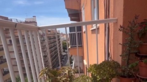 A_porn_gif_7674_lustful.su