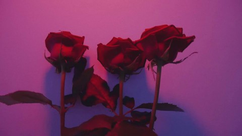 video girls do not exist trish collins exotic nude women