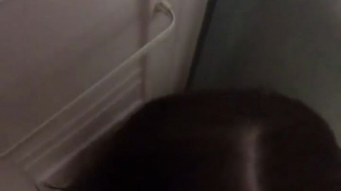 Solmare Sploshish MorticiaGraves