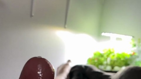 EllieEastleigh Mistress Mona Dair luna luscious