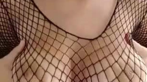 CompetentWhiteYellowhammer-mobile