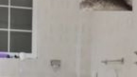 Big Ass valentina nappi live 