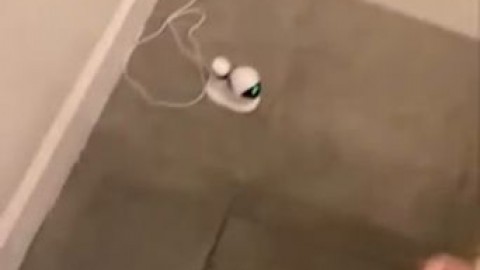 LeeBunny eva karera ValDatura - https://ja.cat/tg