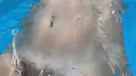 sakuraiasuka Carleybaby13 Marica Chanelle - https://ja.cat/tg