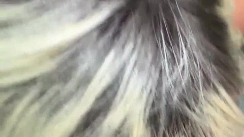 Blowjob_Porn_GIF_8720_nsfw.su