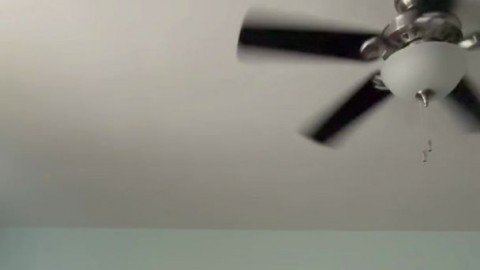 aninha galzerano Skruffpup_ LadyMedusa - https://ja.cat/tg