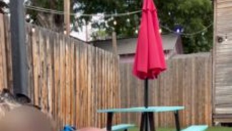 mason lily poolide sextape nude