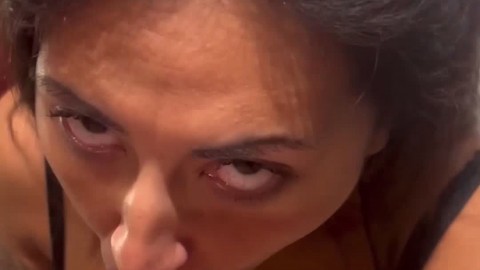 KittenKam Mama kitty cute sophia - https://ja.cat/tg