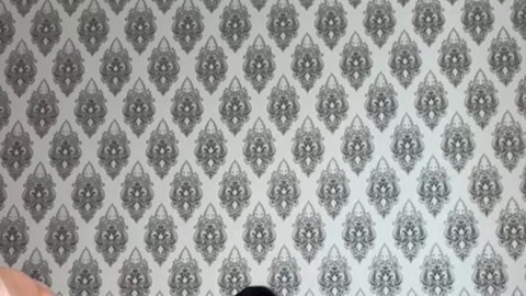 xQs9DnWkor50UTDuSYUe