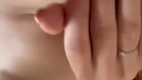 LynnPaul LAURA BARCELONA Cryptid House Cat - https://ja.cat/tg