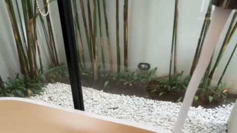 wyte_blac_productions Nikki Daniels SashaGibson - https://ja.cat/tg